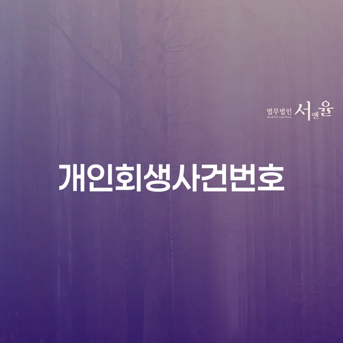 개인회생전문 개인회생 문제해결방법 잘하는 곳