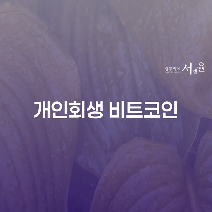 카드빛 개인파산 성공은