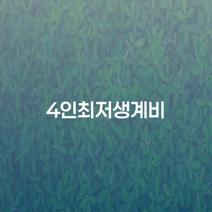 개인회생요건 채무조정제도을 이용하여 해결하는 방법