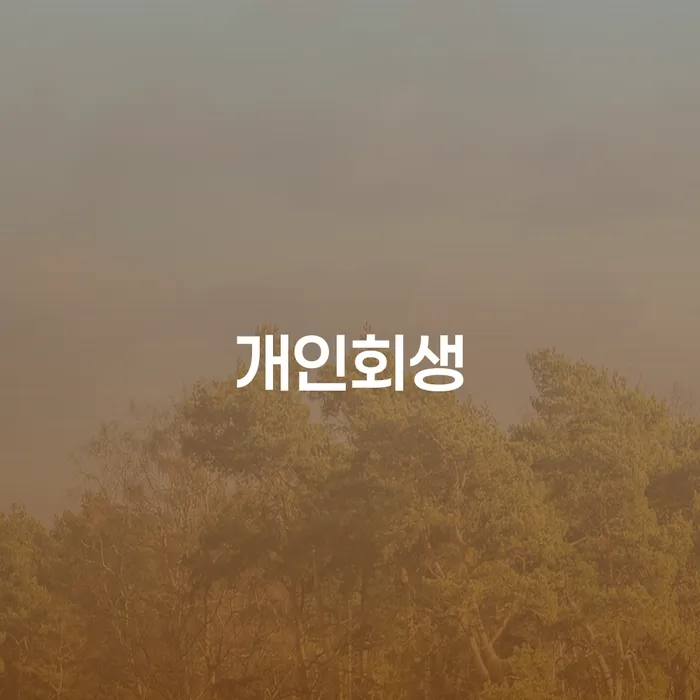 개인회생 개인회생으로 방법 무료상담