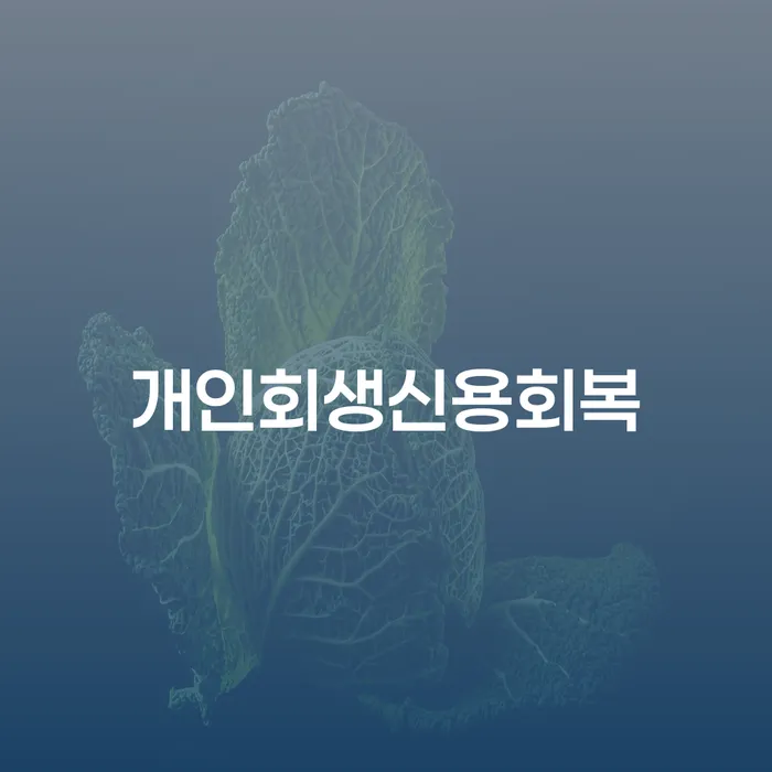 기사회생 빚 합법적인 빠른방법 잘 하는 곳