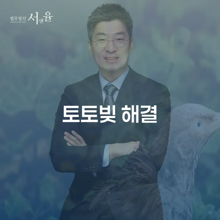 채무불이행 빚갚는 방법 잘 하는 변호사