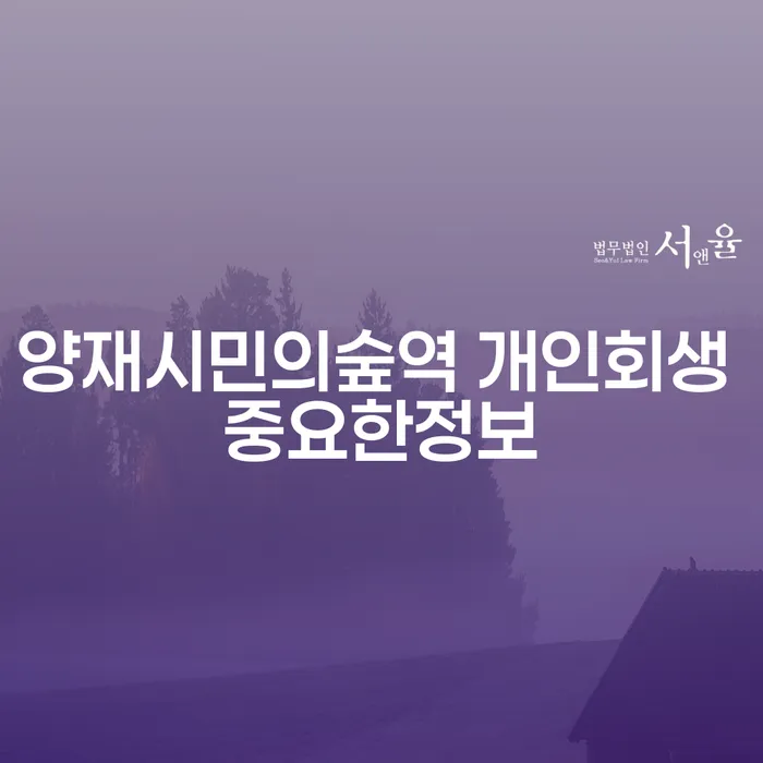 양재시민의숲역 개인회생 중요한정보
