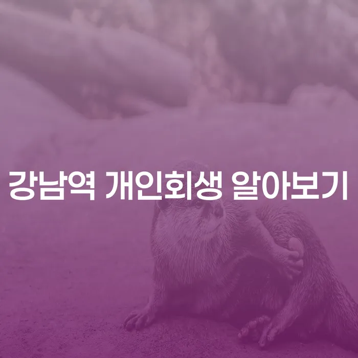 강남역 개인회생 알아보기