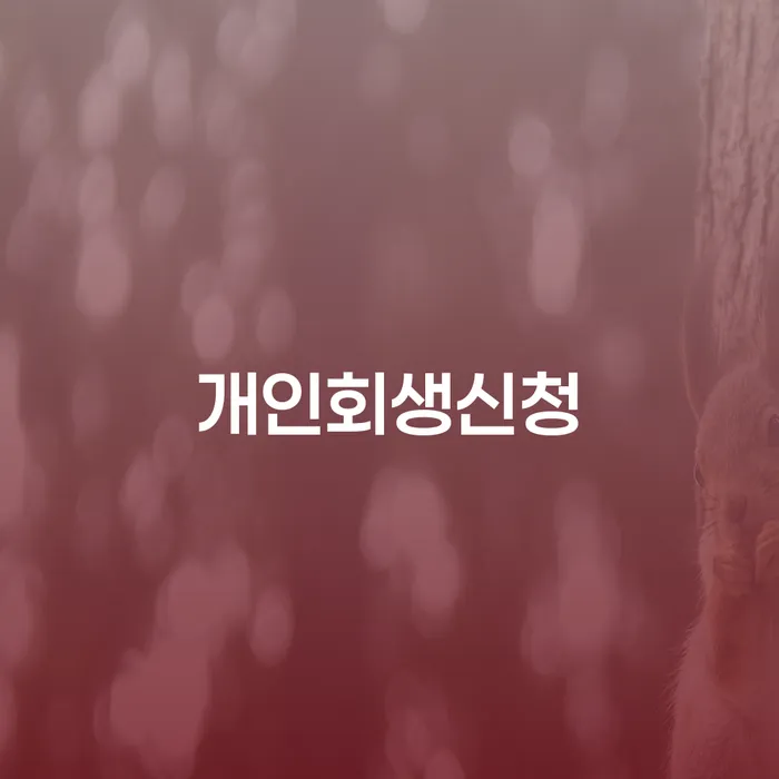 양재동 개인회생신청 방법과 절차