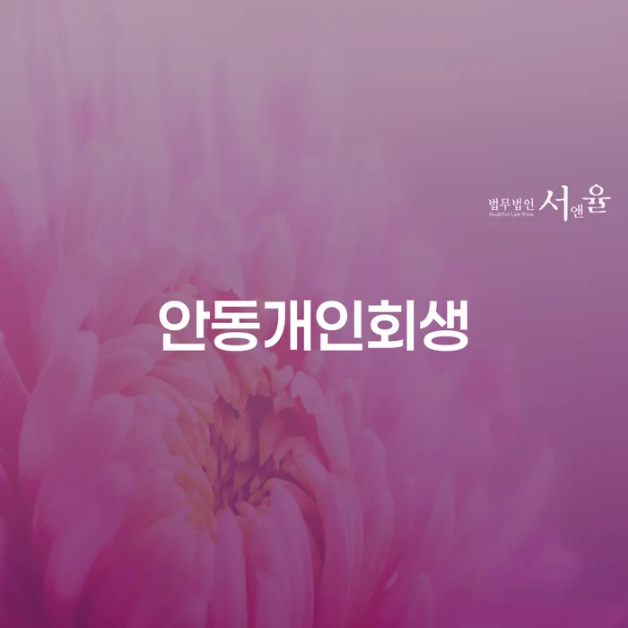 안동개인회생과 개인파산, 어떤 선택이 나에게 맞을까?